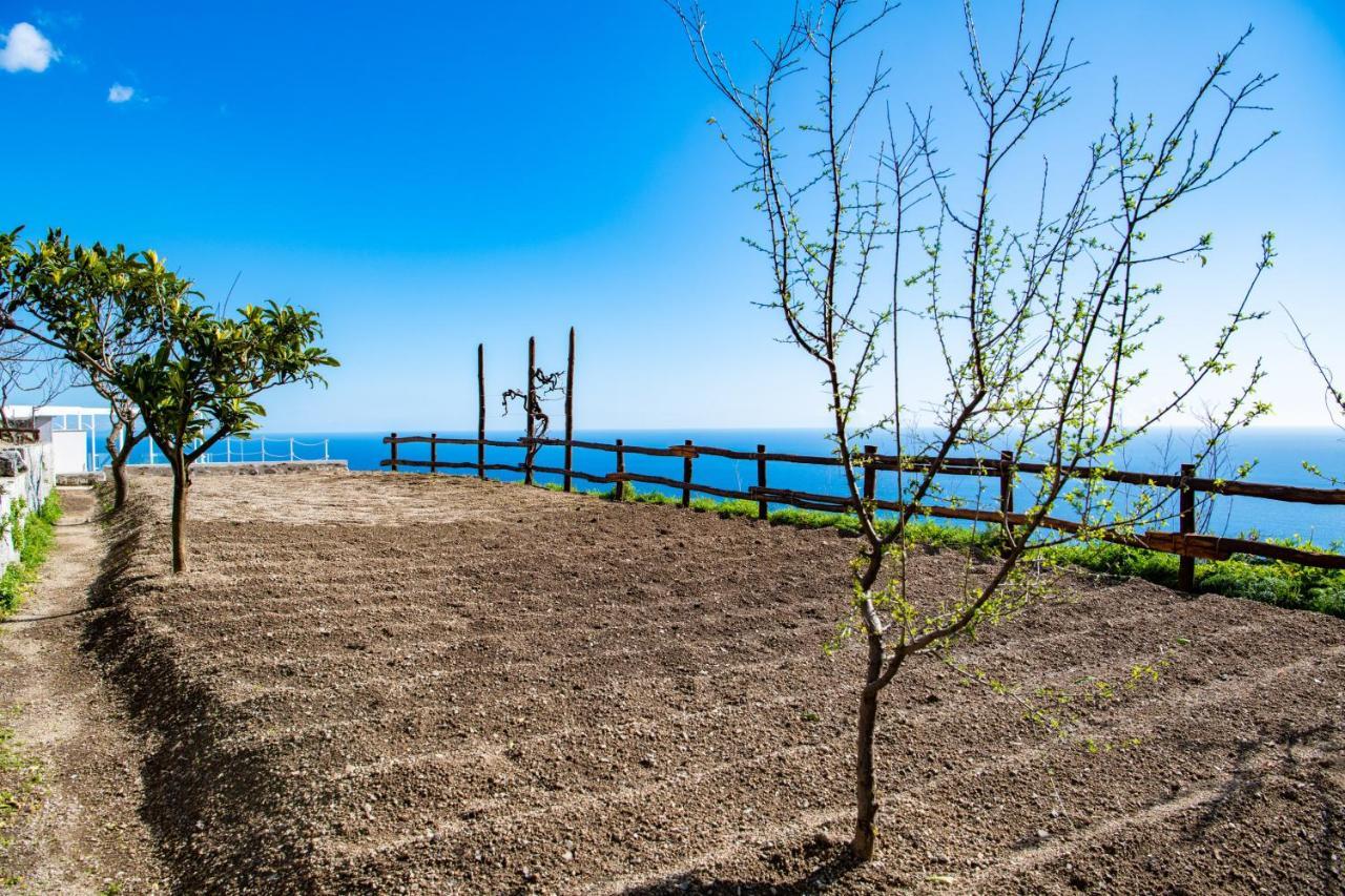 Villa La Tagliata Spectacular Jacuzzi Tub Amazing View And Private Parking Garage Ποζιτάνο Εξωτερικό φωτογραφία